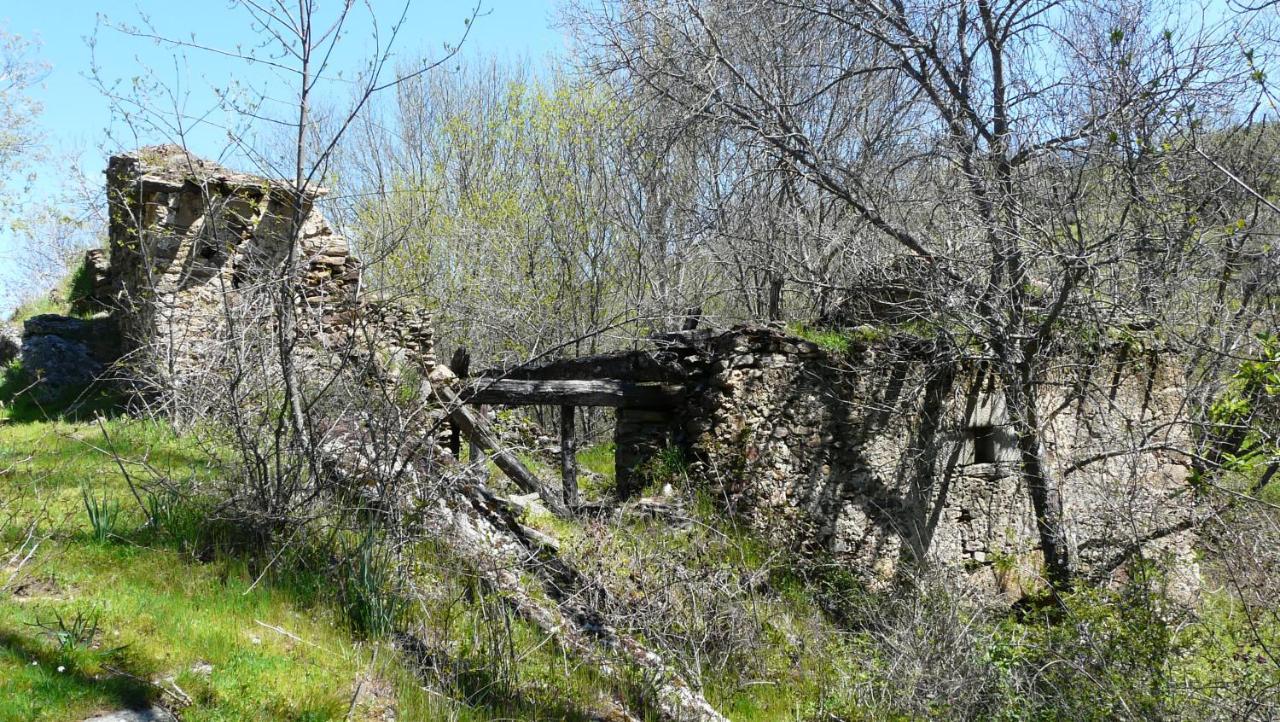 Pradena del Rincon El Huerto De Leon 빌라 외부 사진