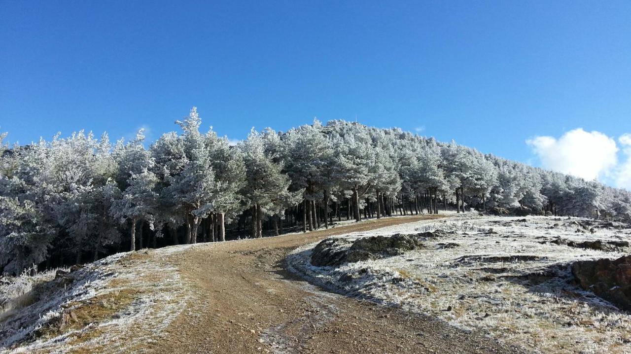 Pradena del Rincon El Huerto De Leon 빌라 외부 사진